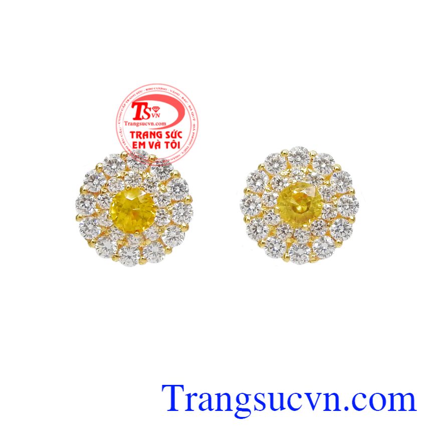 Hoa tai Sapphire vàng duyên dáng, Hoa tai vàng lấp lánh, Hoa tai sapphire tài lộc
