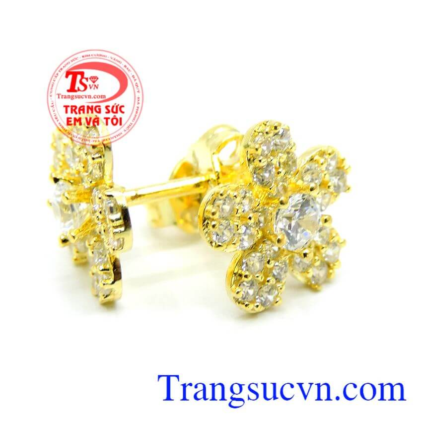 Hoa tai bông vàng, Hoa tai vàng tây Hoa tai bông vàng, Hoa tai vàng tây