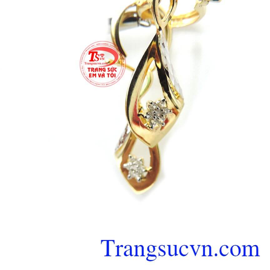 Hoa tai vàng tây đẹp, Hoa tai vàng tây Hoa tai vàng tây đẹp, Hoa tai vàng tây