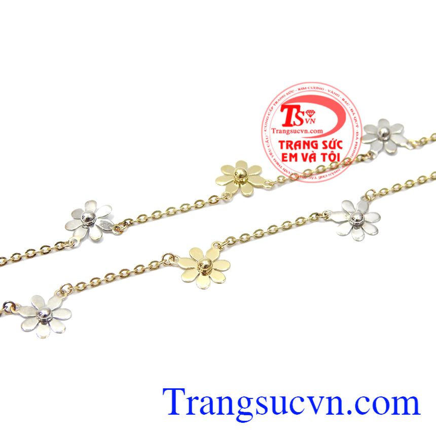 Lắc chân vàng bông hoa, lắc chân vàng tây Lắc chân vàng bông hoa, lắc chân vàng tây