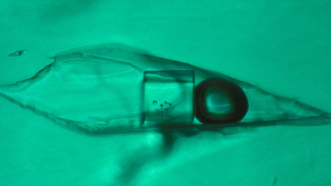 Fluid Inclusions Minute fluid inclusions in the solid phase of this three-phase inclusion is from an emerald found on the sunken Spanish galleon, the Atocha; transmitted light, magnified 200x. Photo by John I. Koivula/GIA Fluid Inclusions Minute fluid inclusions in the solid phase of this three-phase inclusion is from an emerald found on the sunken Spanish galleon, the Atocha; transmitted light, magnified 200x. Photo by John I. Koivula/GIA