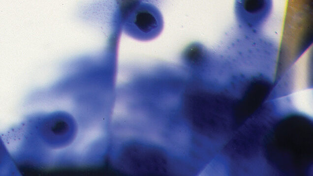 This Montana sapphire contains dark rutile crystals. When the stone is heat-treated, the titanium dissolves into the host sapphire combining with iron to enhance the blue color of the stone. This internal diffusion of blue color is proof of heat treatment in sapphire. Photo by John I. Koivula/GIA This Montana sapphire contains dark rutile crystals. When the stone is heat-treated, the titanium dissolves into the host sapphire combining with iron to enhance the blue color of the stone. This internal diffusion of blue color is proof of heat treatment in sapphire. Photo by John I. Koivula/GIA