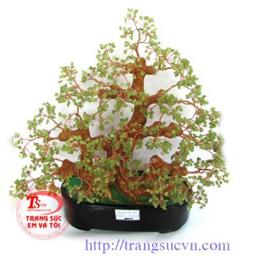 C&acirc;y,đ&aacute;,qu&yacute;,t&agrave;i,lộc, C&acirc;y Đ&aacute; Qu&yacute; T&agrave;i Lộc , cay da,quy,tai,loc