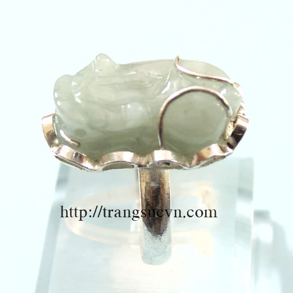 Nhẫn tỳ hưu, nham nam ,nhan tỳ hưu trắng, nh&acirc;n nam tỳ hưu trắng, nhan tỳ hưu thi&ecirc;n nhi&ecirc;n , mặt t&ugrave; hưu