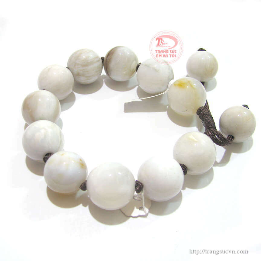 go-hoa-thach,Gỗ h&oacute;a thạch