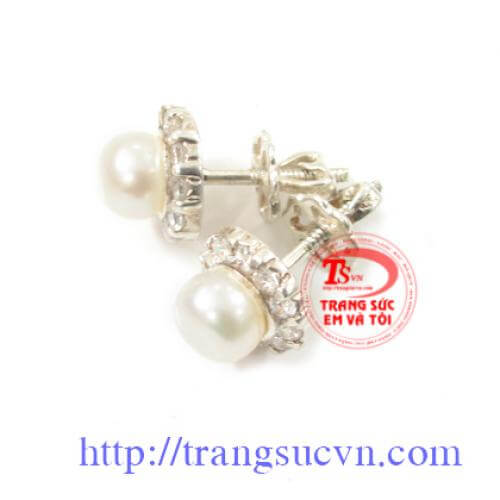 Hoa tai ngọc trai hoa_tai_ngoc_trai . Hoa tai ngọc trai