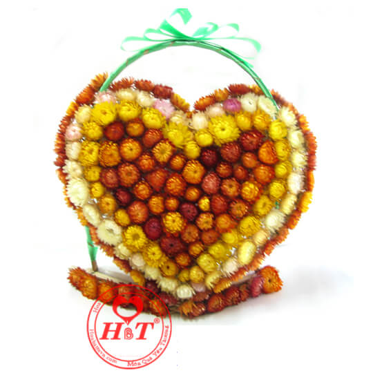 Bán hoa bất tử hà nội Bán hoa bất tử hà nội