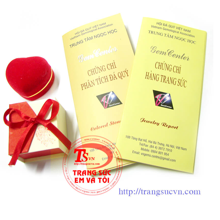 Giấy kiểm định tỳ hưu, Giay kiem dịnh ty huu