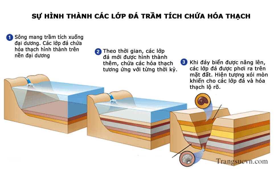 đá trầm tích